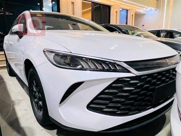 بي واي دي Qin Plus 2025 للبيع في العراق - النجف